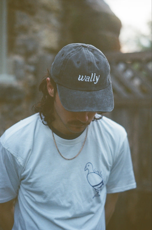 Wally Dad Hat