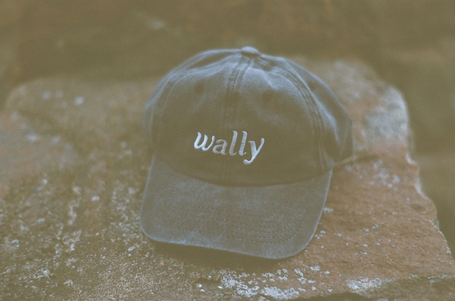 Wally Dad Hat